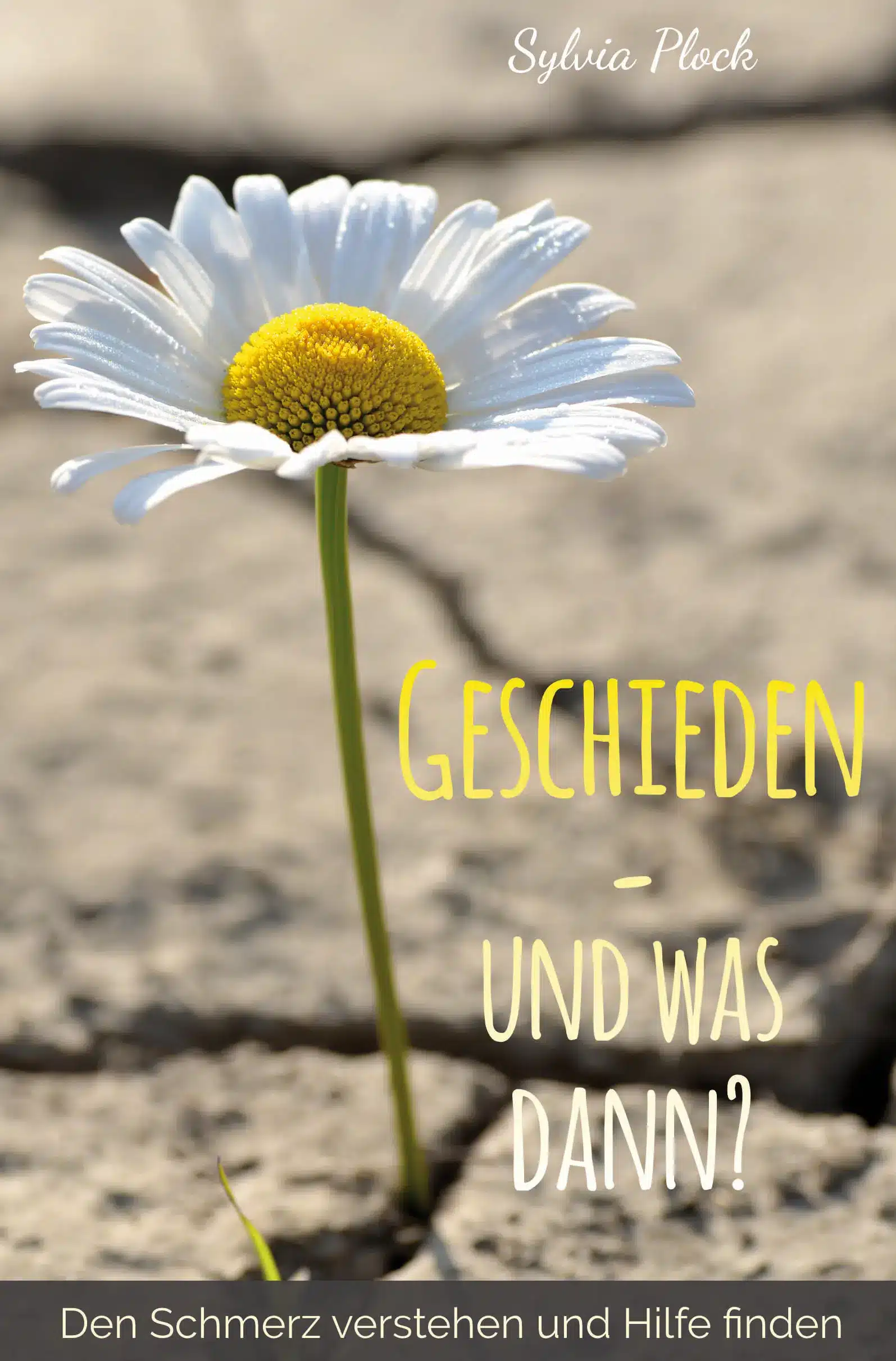Geschieden - und was dann?