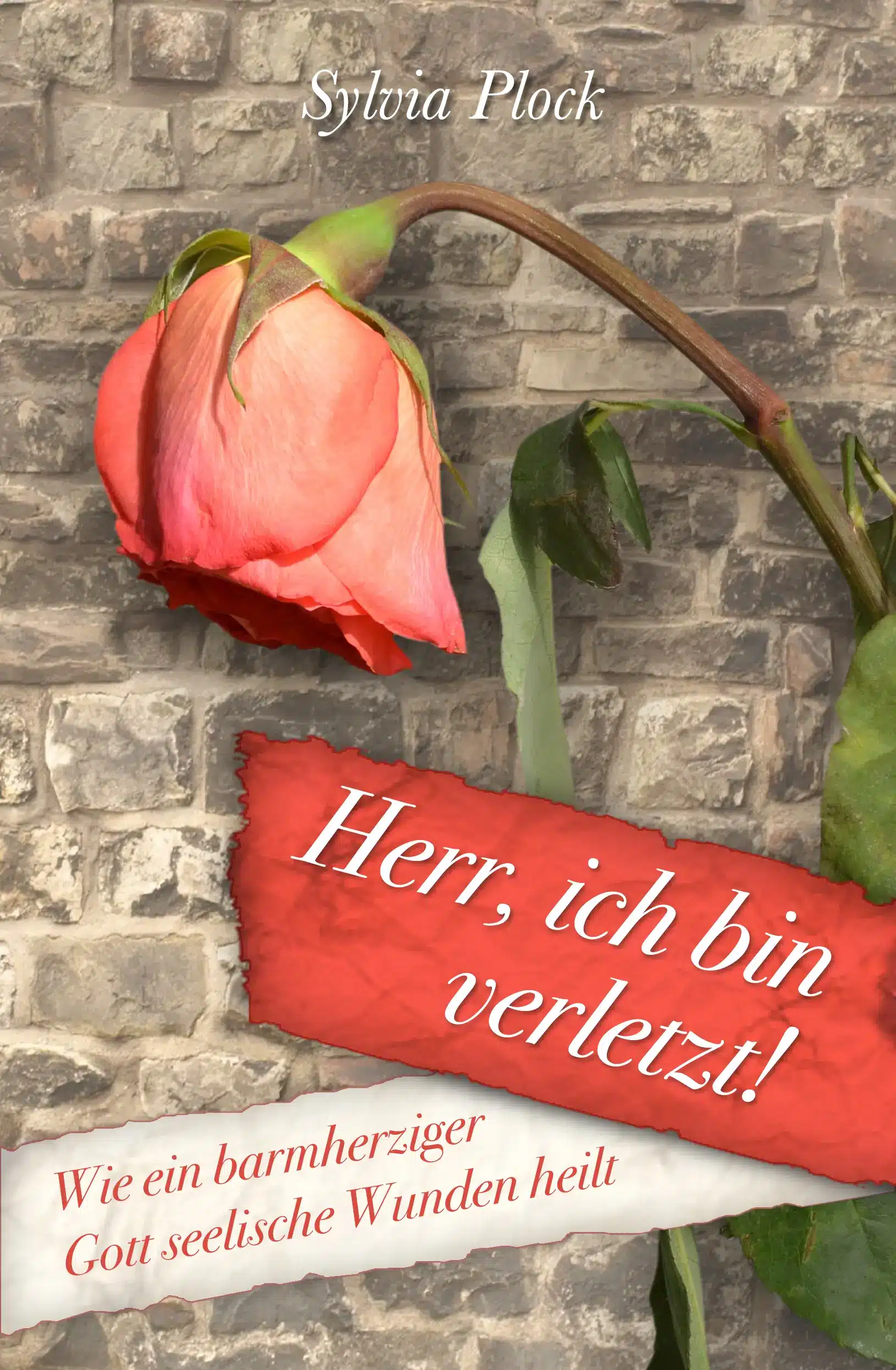 Herr ich bin verletzt! Wie ein barmherziger Gott seelische Wunden heilt.